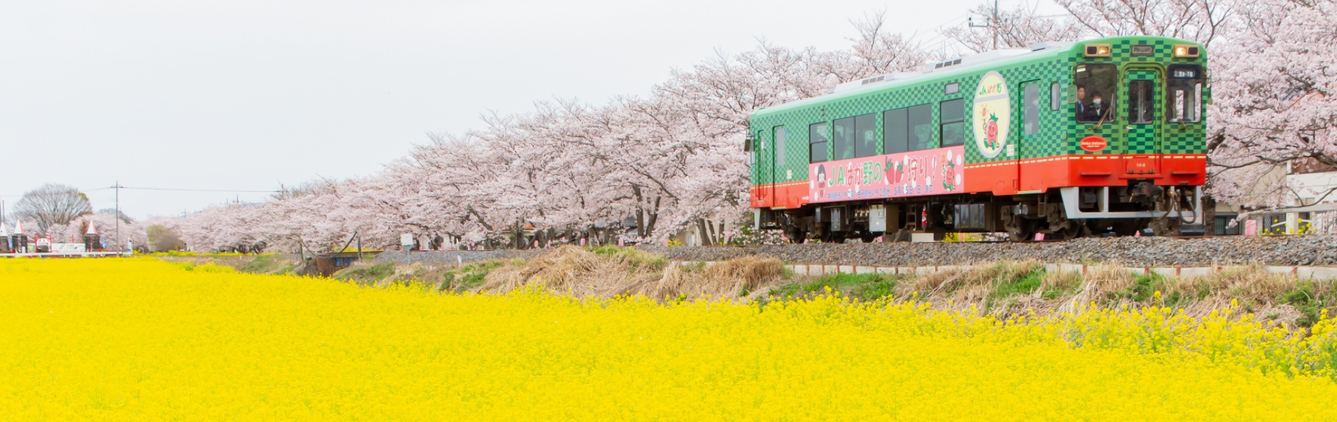 大切なあなたのこれからを となりで一緒に考えるケアマネジメント